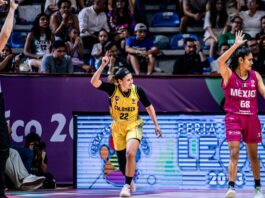 http://laspelotasdedanira.com/wp-content/uploads/2023/07/colombia-ante-estados-unidos-por-los-cuartos-de-la-americup.jpeg